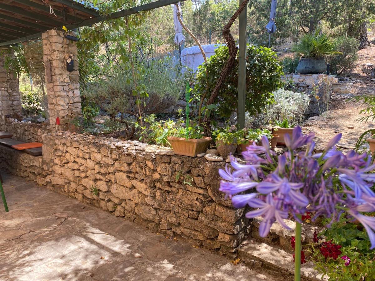 Silna Your New With Terrace And Garden Apartment Bobovisca